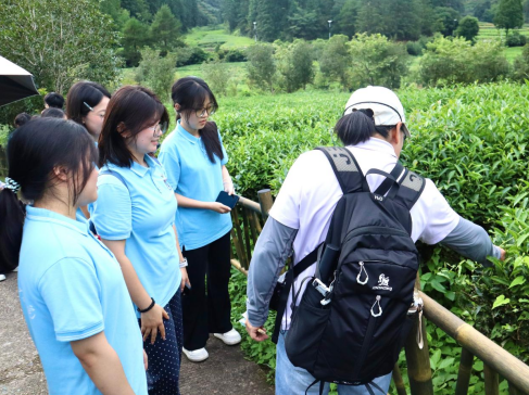 福建江夏学院学子赴武夷山开展“三茶”产业实践调研