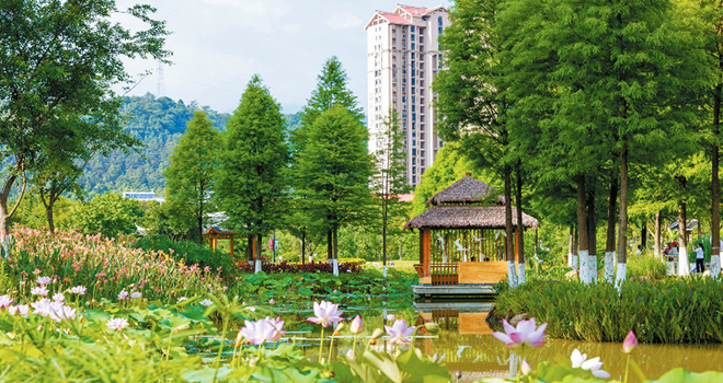 夏日龙岩：山水送清凉 消暑乐趣多