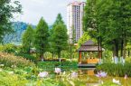 夏日龙岩：山水送清凉 消暑乐趣多