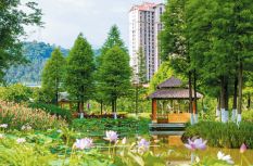 夏日龙岩：山水送清凉 消暑乐趣多
