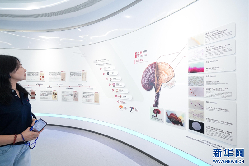 7月24日,嘉宾在灵芝科学馆观看展板,了解灵芝知识。新华网 肖和勇 摄