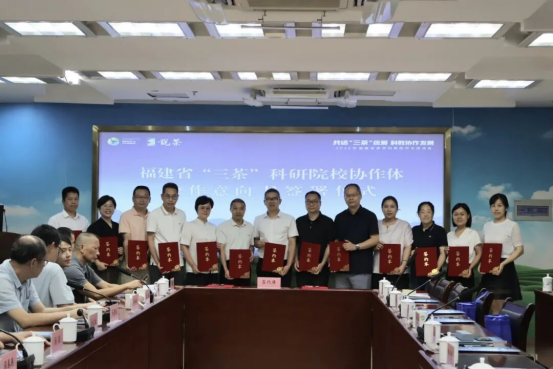 组建茶科教常态化协同机制 福建省茶学科教院所长座谈会在榕举行705