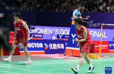 羽毛球——中国公开赛：刘圣书/谭宁获女双冠军