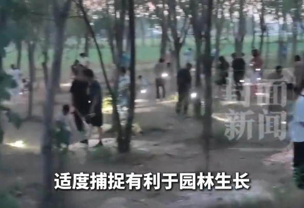 网红书记带货知了猴被指破坏生态