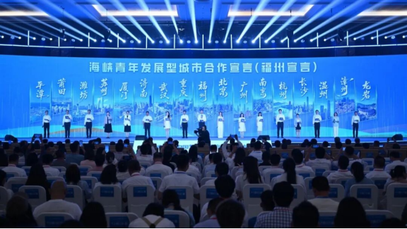 往届海峡青年连心汇资料图。