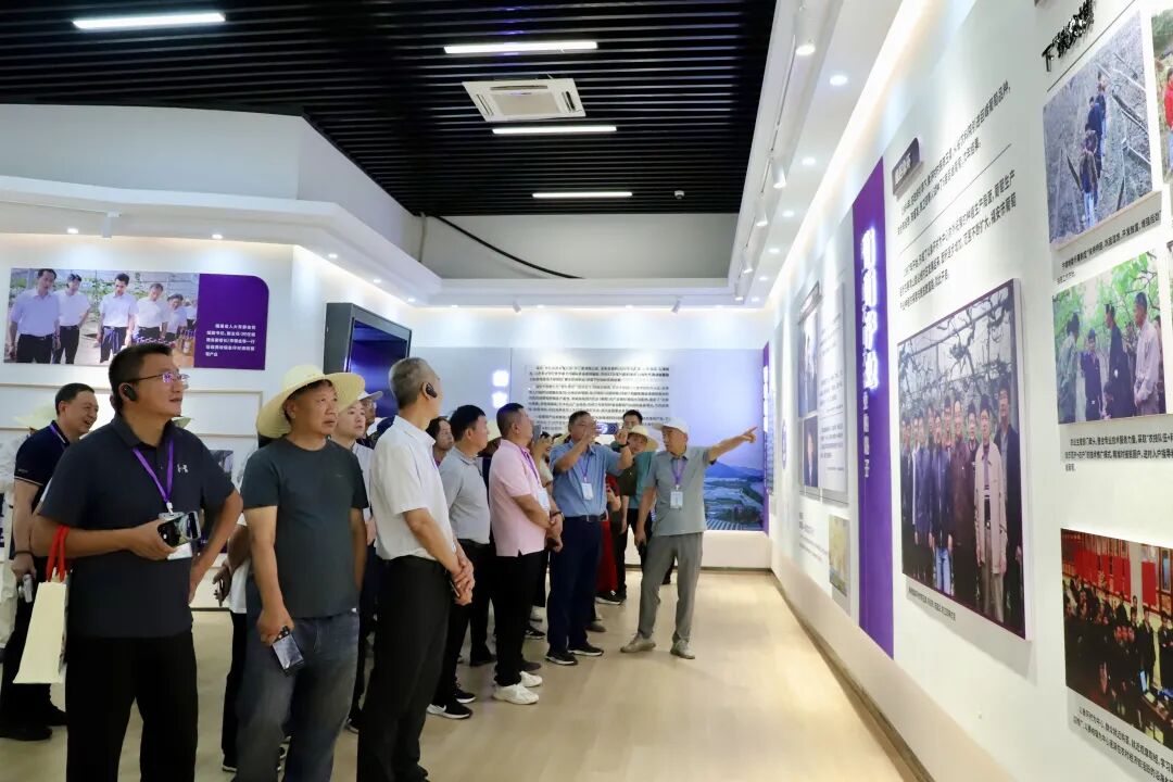 中国农学会第三十届葡萄学术研讨会嘉宾现场观摩福安葡萄产业发展