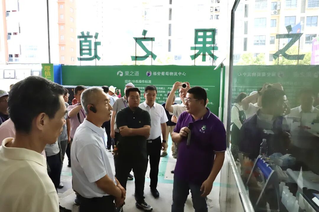 中国农学会第三十届葡萄学术研讨会嘉宾现场观摩福安葡萄产业发展