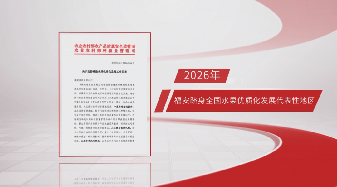 福安葡萄何以成为中国水果“优等生”？