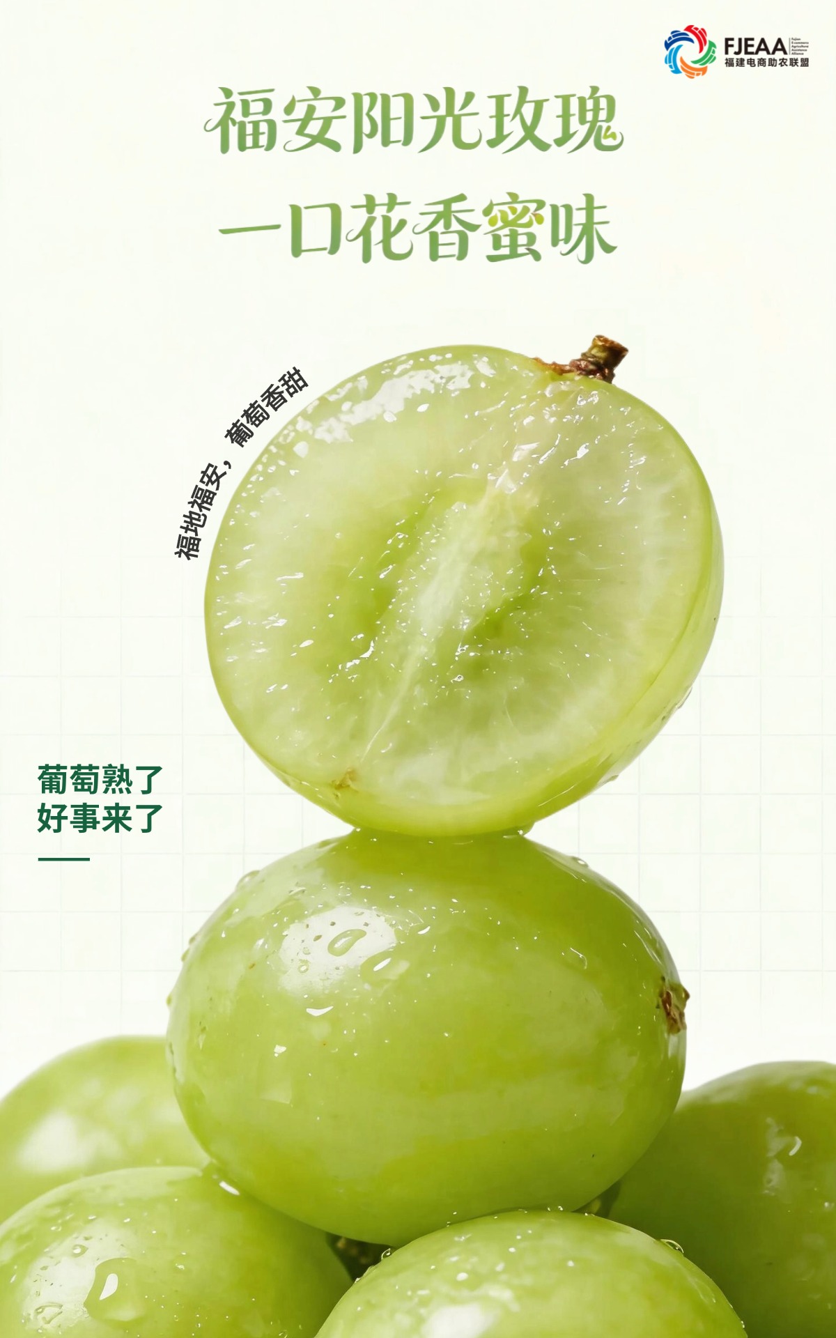 微信图片_20260729090820_399_267
