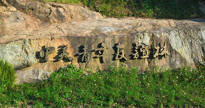 这个夏天，鼓岭“上新”了，避暑走起！