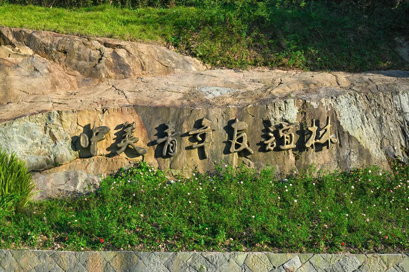 “坚如磐石”景观位于公园主入口，天然岩石挺立于花卉绿植之间，石面上镌刻着“中美青年友谊林”七个大字，寓意着中美青年之间坚若磐石的深厚情谊。