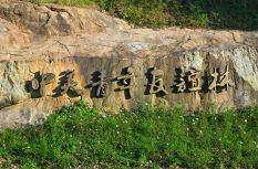 这个夏天，鼓岭“上新”了，避暑走起！