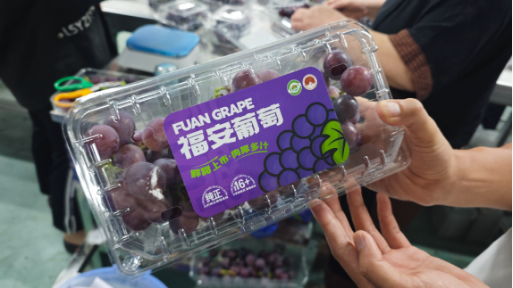 【电商分发】这个夏天，来一口自带&ldquo;白霜&rdquo;803