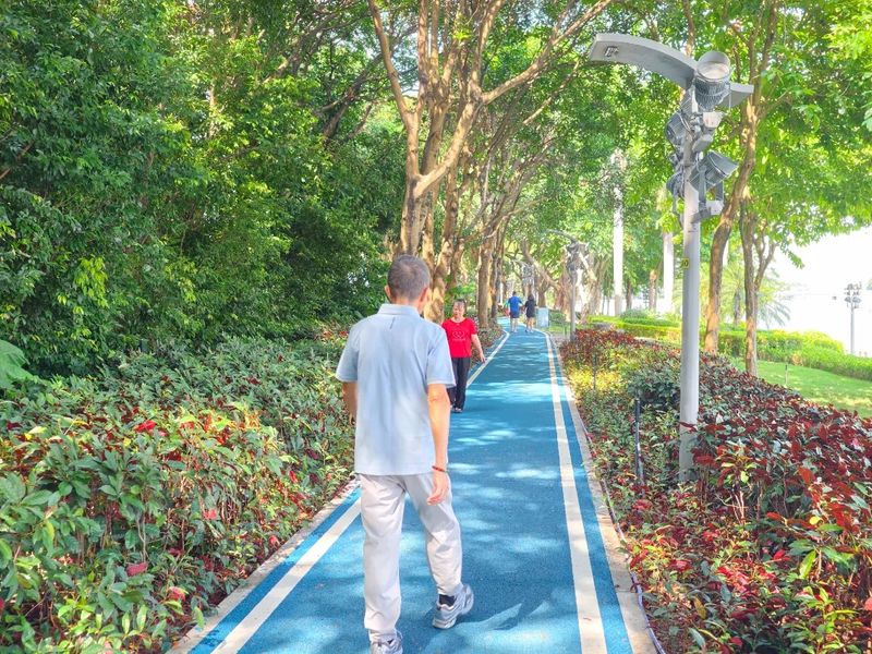筼筜湖健身步道四期。海西晨报记者 王世伟 摄