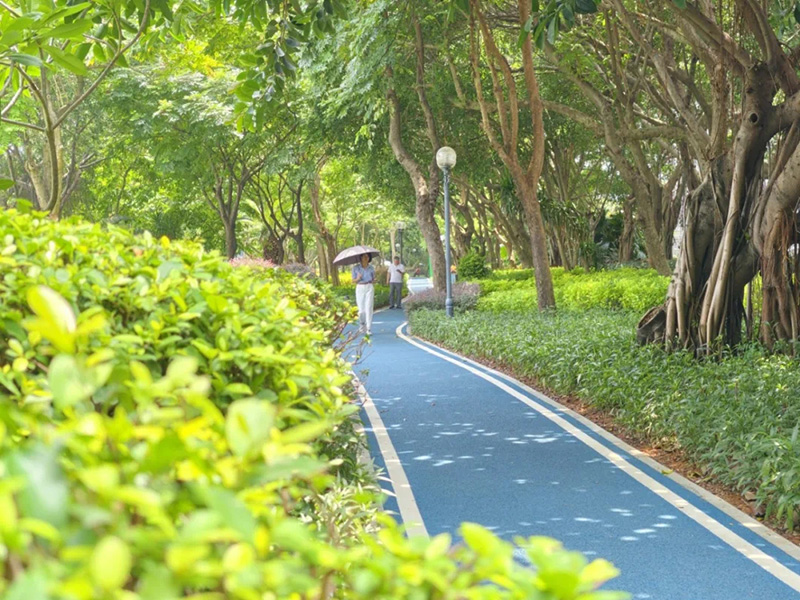 筼筜湖健身步道四期。海西晨报记者 王世伟 摄