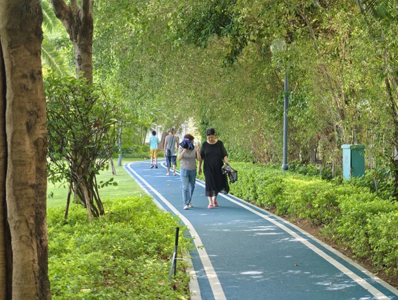筼筜湖健身步道四期。海西晨报记者 王世伟 摄