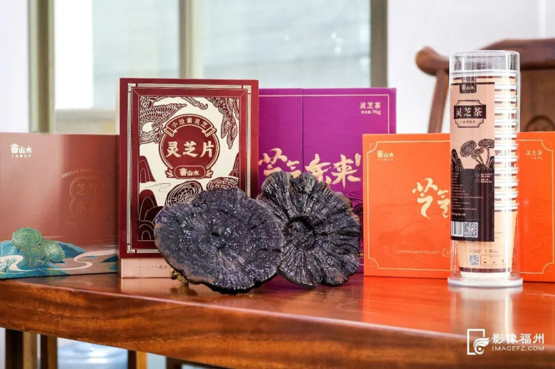 采收后的紫灵芝可制成多种产品。连江县融媒体中心供图