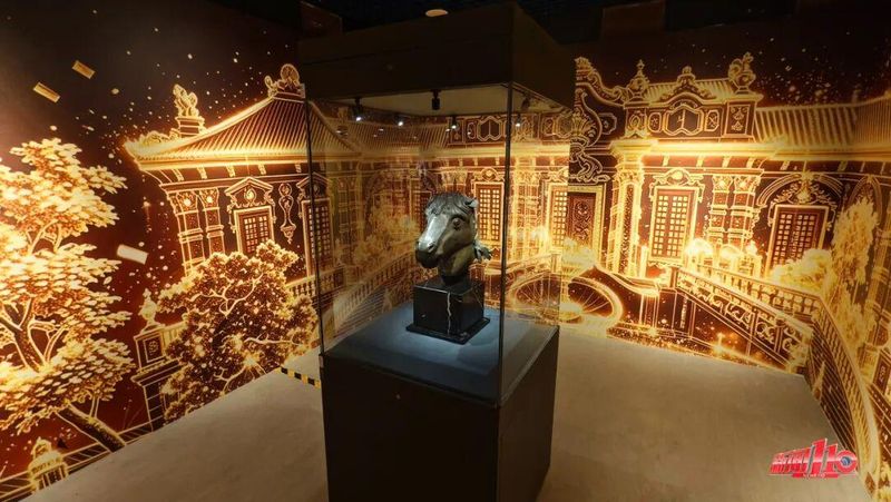 这是圆明园马首铜像真迹首次在福建公开展出。