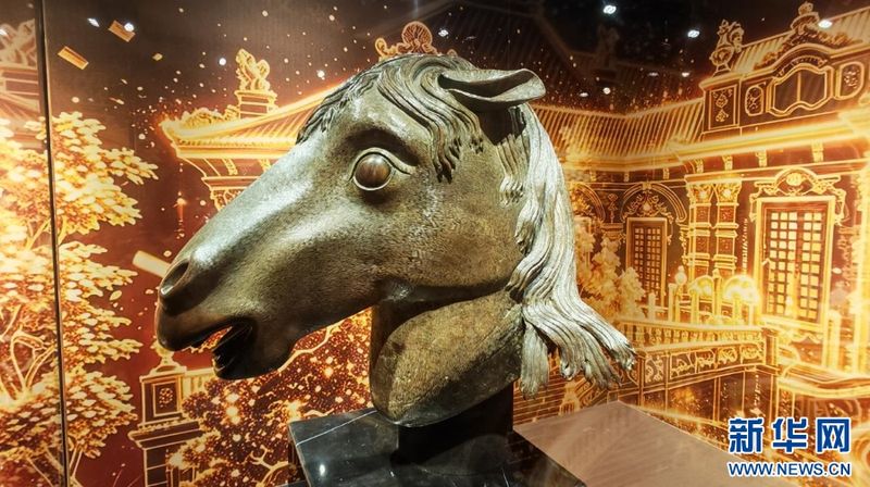 圆明园马首铜像原件亮相福建博物院。新华网 刘丰 摄