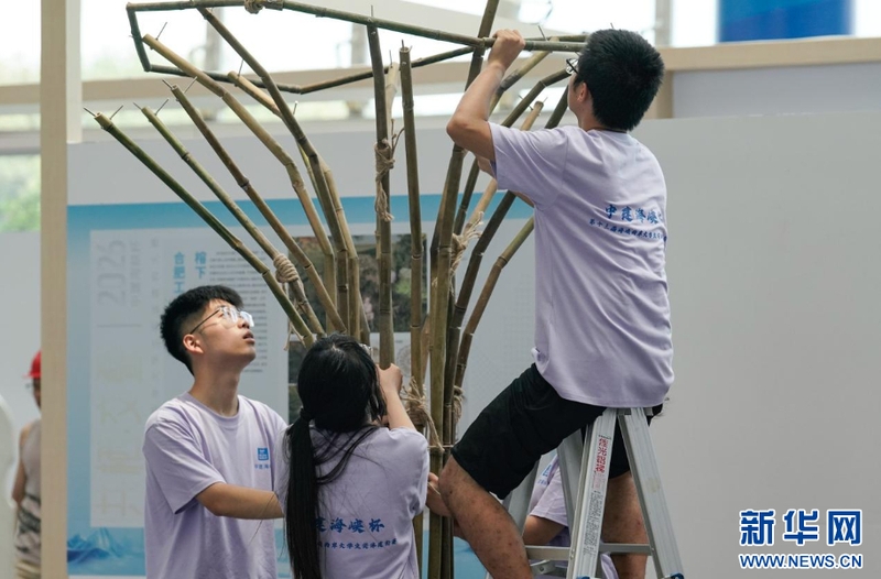 “榕树”造型初现。新华网 蒋巧玲 摄