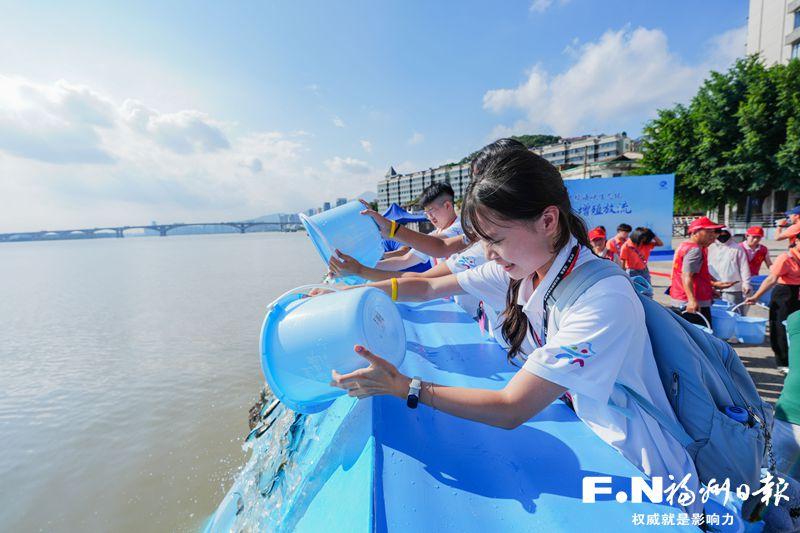 两岸青年携手放流65万尾鱼苗