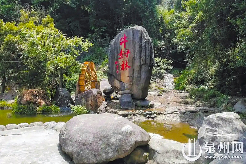 永春藏着一片被誉为“闽南西双版纳”的国家4A级生态旅游区——永春牛姆林。