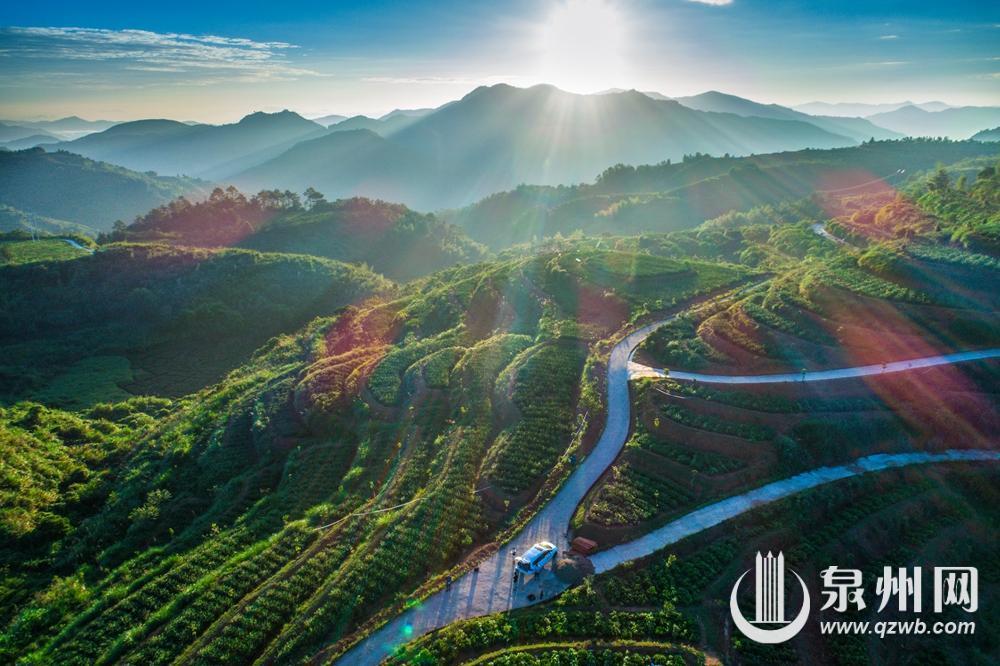 安溪云岭茶庄园，吸引游客前来山居避暑。（泉州晚报资料图）