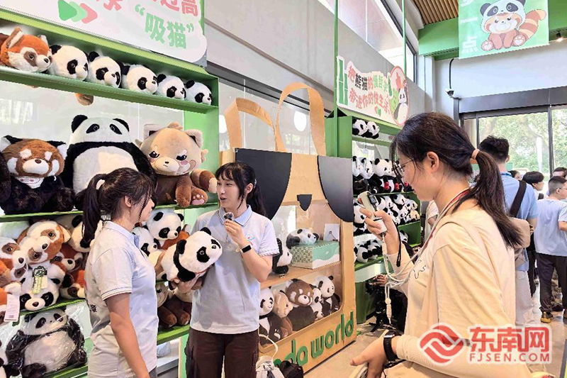 两岸青年组队拍短视频。东南网记者 卢金福 摄