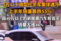 5万小车卖不动 微型代步车集体遇冷 40万元以上新能源汽车销量大涨