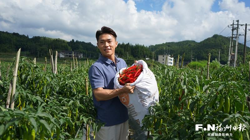 闽清云际村：高山红福“辣”响致富曲
