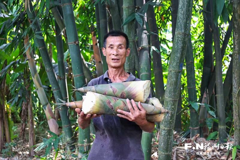 连江蓼沿乡：弃石植竹 点笋成金