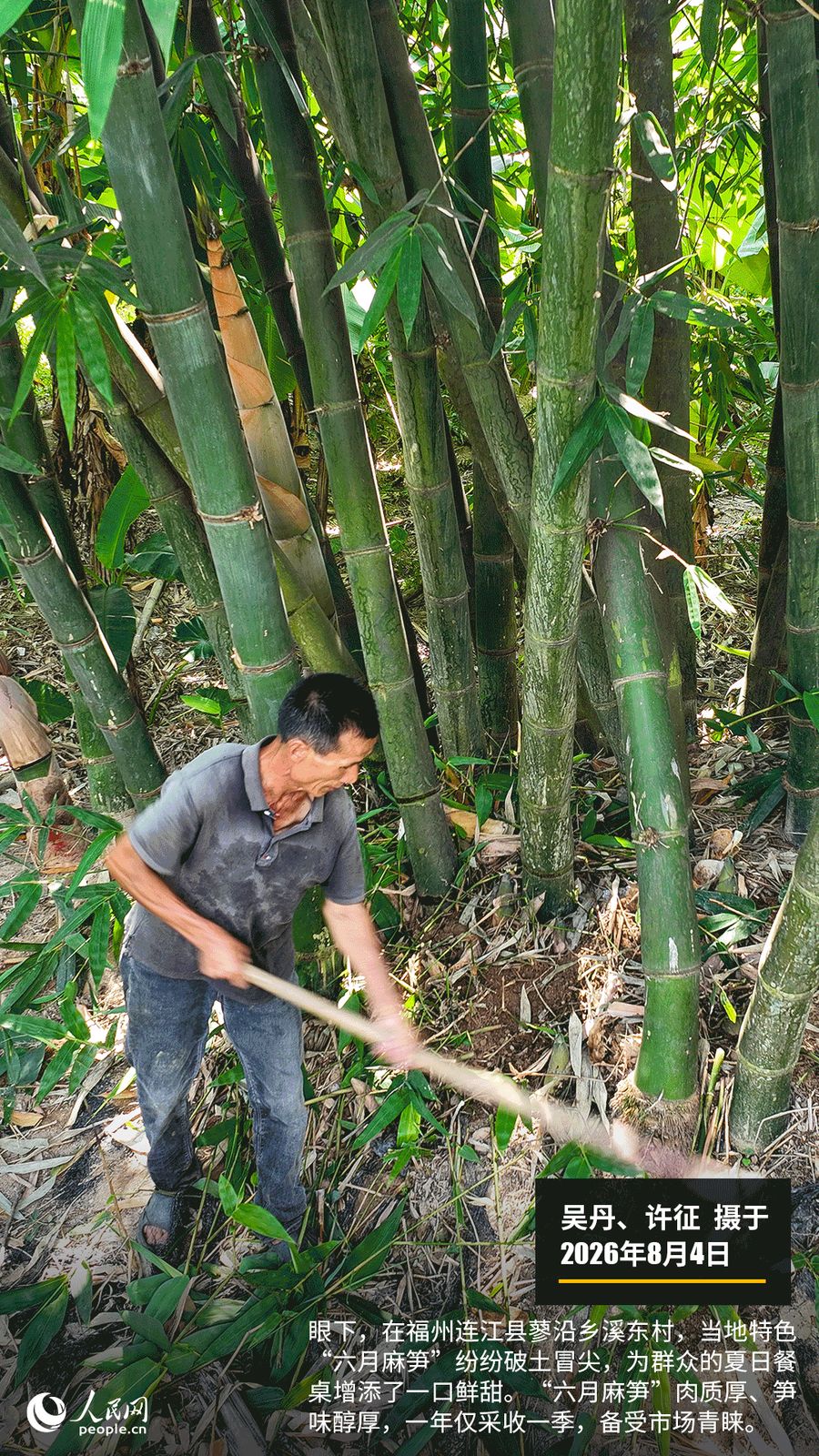 “遇见福建之美”栏目：聚焦福建一周大事记