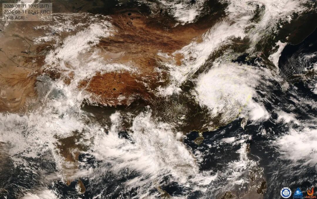 “白海豚”已停编，福建要降温了！福州局部大雨暴雨
