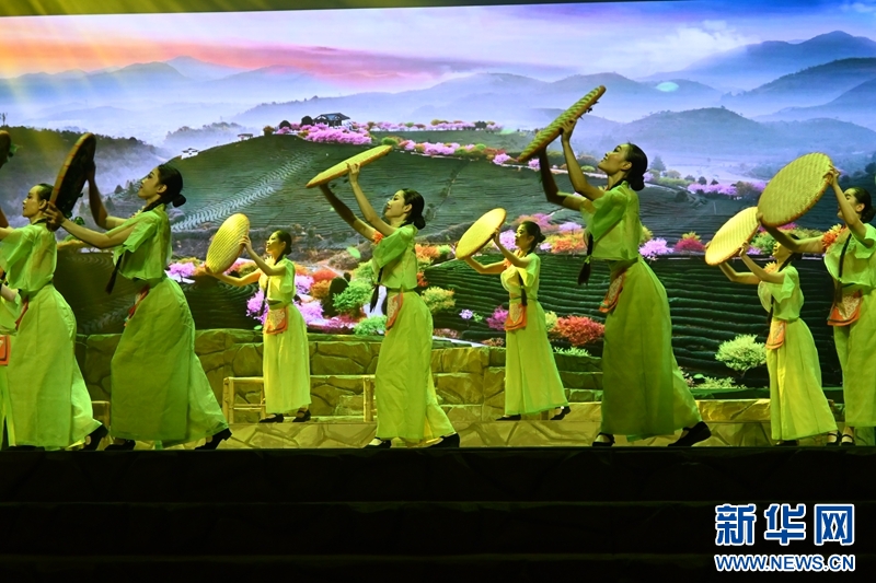 “采茶灯启・两岸茶韵”节目展示非遗项目“中医养生（永定万应茶）”的制作过程。新华网发（杨文颖 摄）