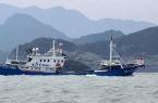 宁德霞浦迎来“小开渔” 600多艘渔船集中出海