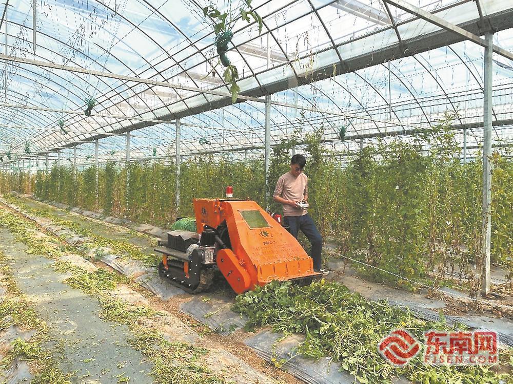 福建因地制宜推进尾菜机械化处理与资源化利用