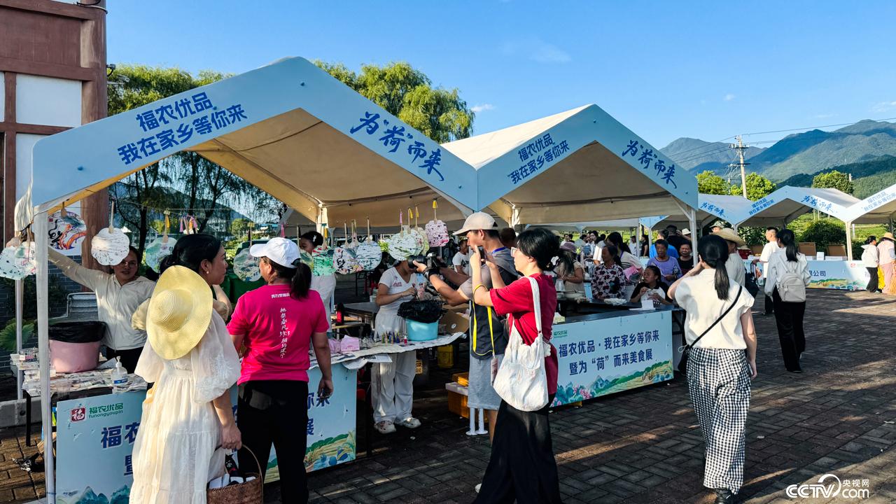 福建电商助农联盟成立 为“荷”而来建莲文化旅游活动在三明建宁启动