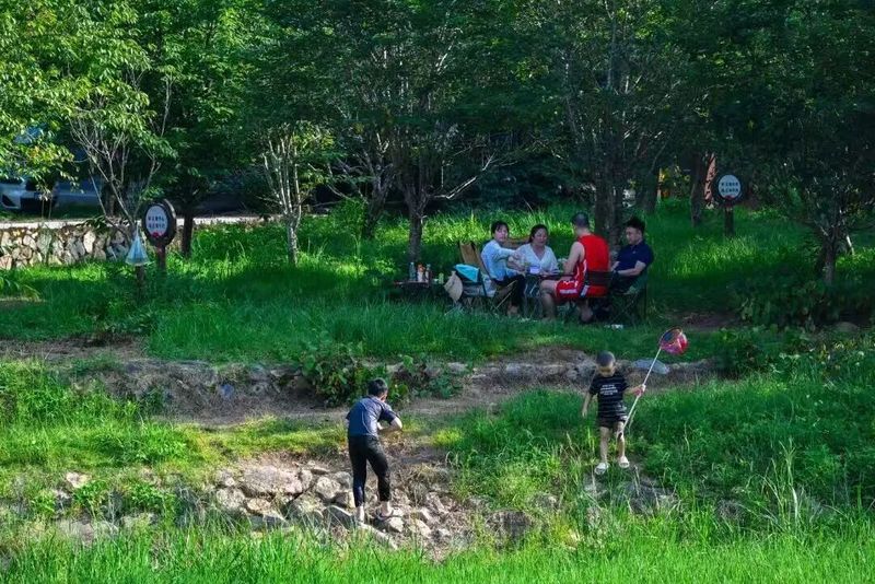 孩子们在水里捞小鱼、打水枪，大人们在溪畔支起天幕露营喝茶，潺潺流水伴着山间凉风，暑气不知不觉便散了大半。