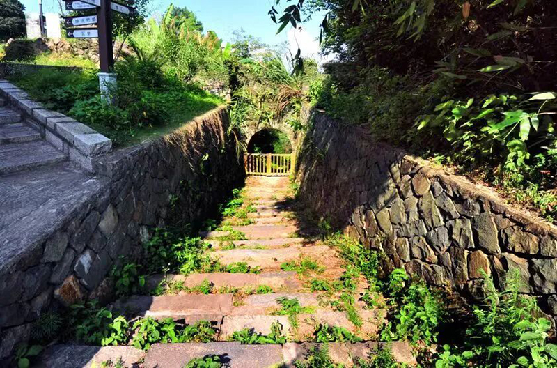 一条古驿道穿寨而过，曾是古代福州北上闽东、温州的交通要道，有“通京道”之称。