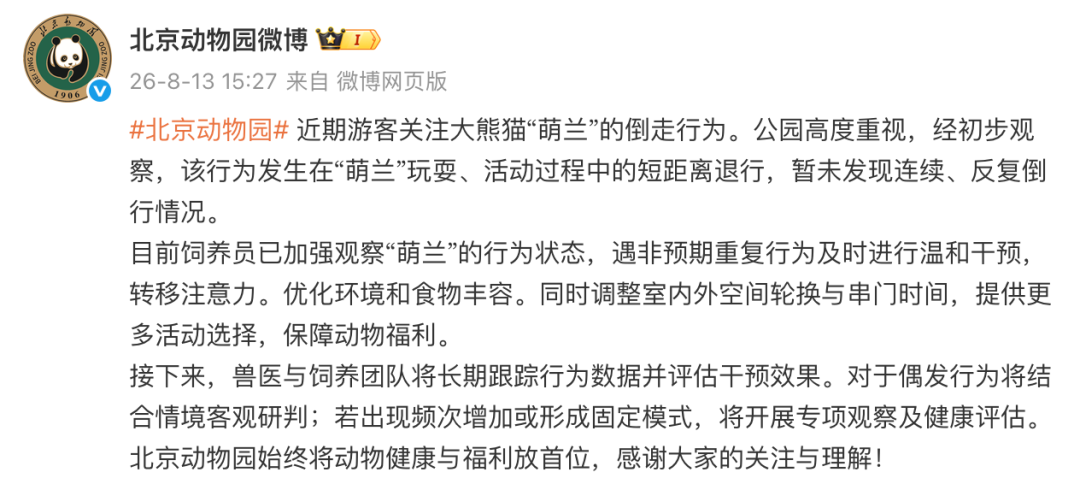 北京动物园回应大熊猫“萌兰”倒走行为