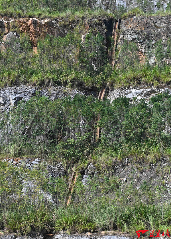 7月22日,永安市大湖镇大湖村金银湖矿坑现场,经过系统生态修复的矿山早已褪去昔日矿坑裸露的旧貌,整片山体重新披上浓密绿装,处处透着盎然生机。游庆辉 摄