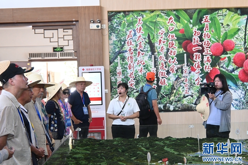 长汀持续推进水土流失治理,将生态效益与经济效益相结合,实现了从“火焰荒山”到“花果满山”的蜕变。新华网发(杨文颖 摄)