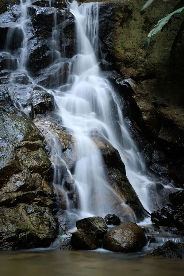 听，是山林飞瀑叮咚鸣响