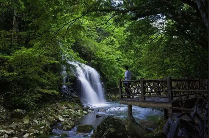听，是山林飞瀑叮咚鸣响