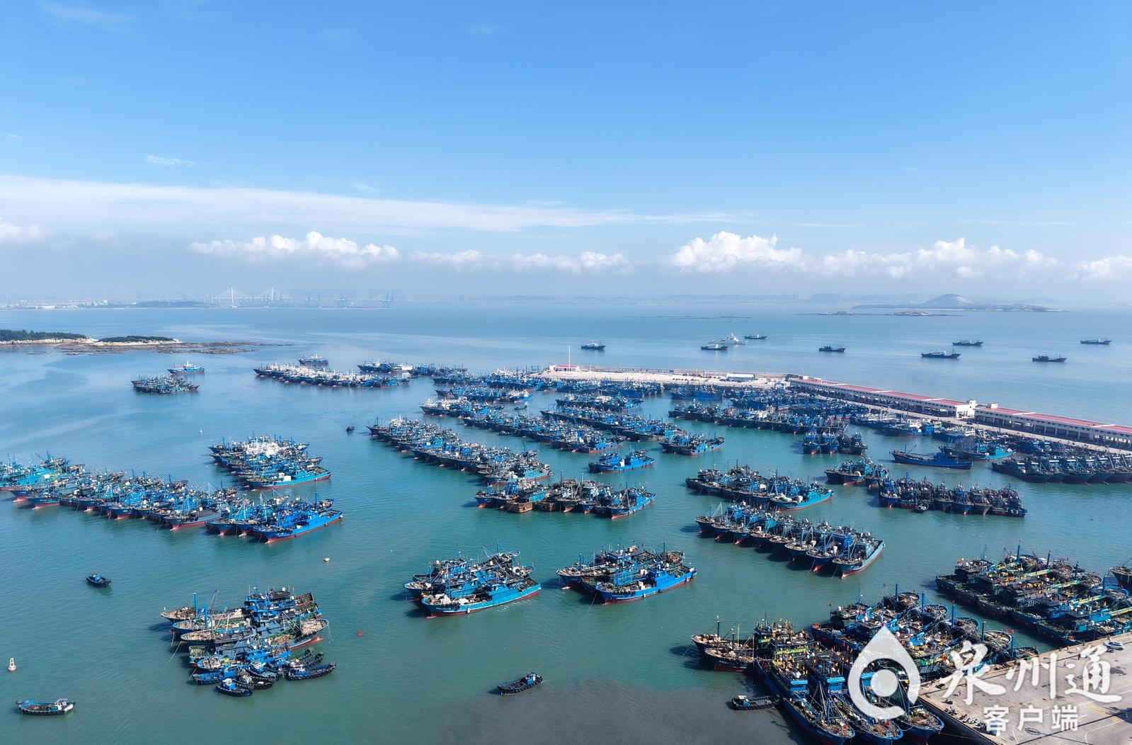 福建开渔了!一大波海鲜正在赶来