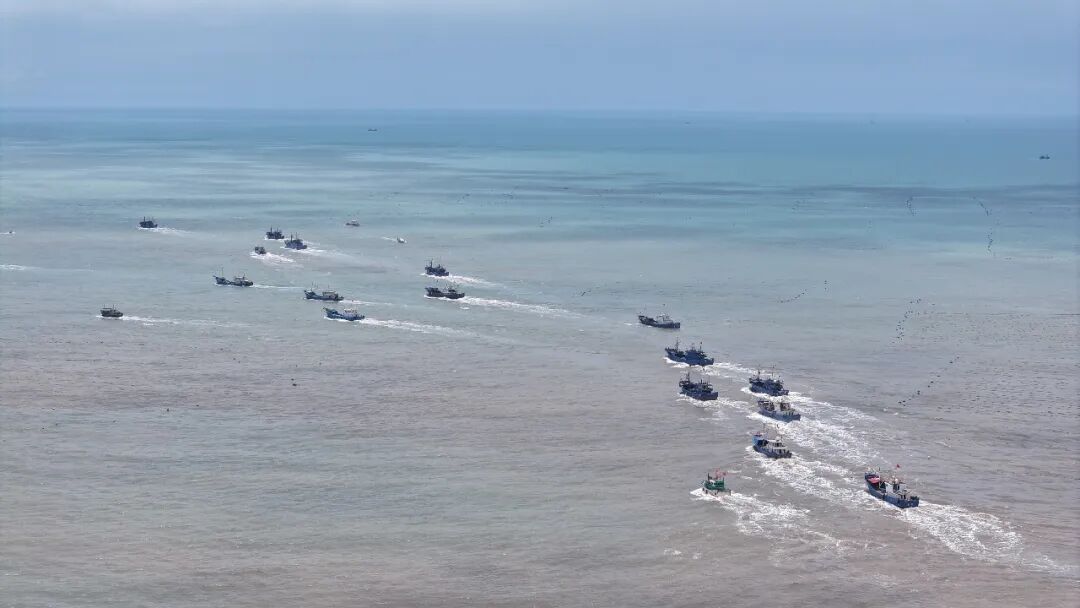 福建开渔了!一大波海鲜正在赶来