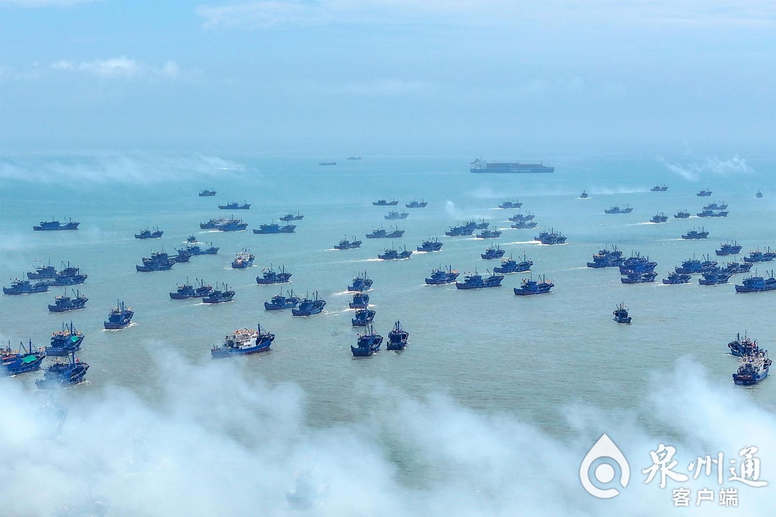福建开渔了!一大波海鲜正在赶来