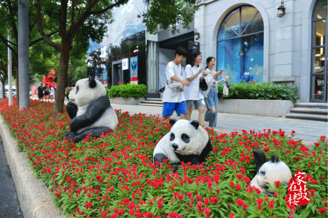 今天8·17,福州人,不能忘!不敢忘!