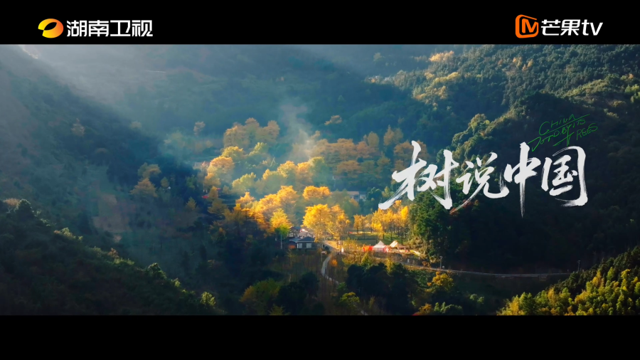 纪录片《树说中国》8月17日开播