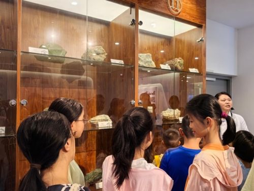 探秘自然资源 点亮科学梦想——福州汤门社区开展青少年科普研学活动